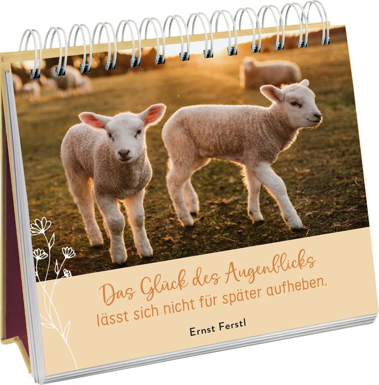 Bild: 9783848501373 | Zauberhaftes Landleben | Groh Verlag | Taschenbuch | 144 S. | Deutsch