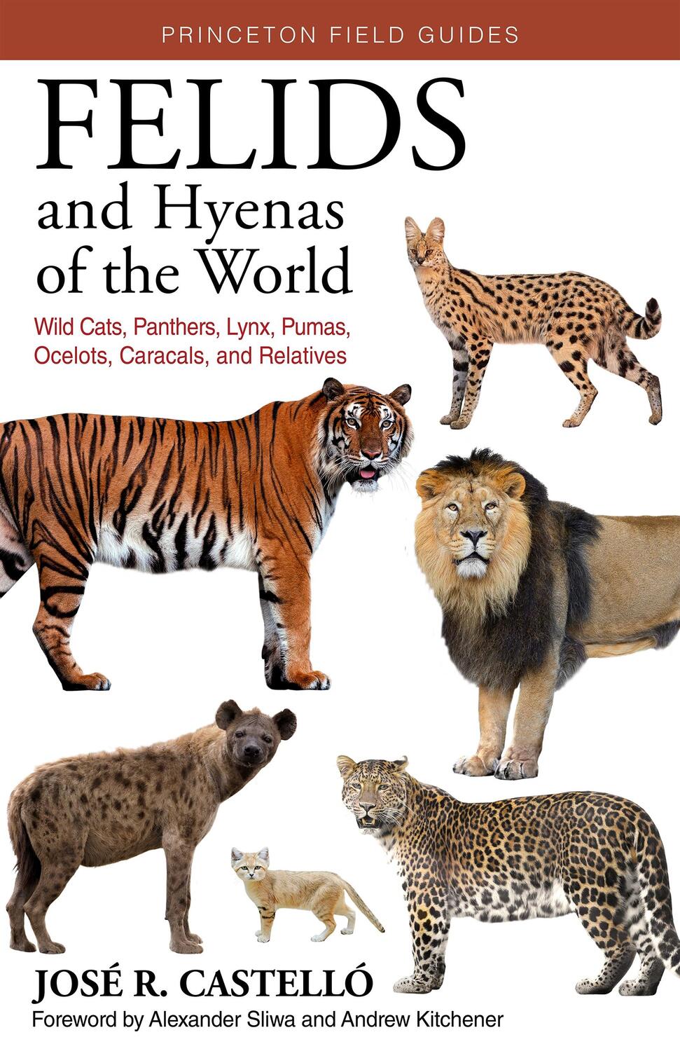 Cover: 9780691205977 | Felids and Hyenas of the World | Jose R. Castello | Taschenbuch | 2020