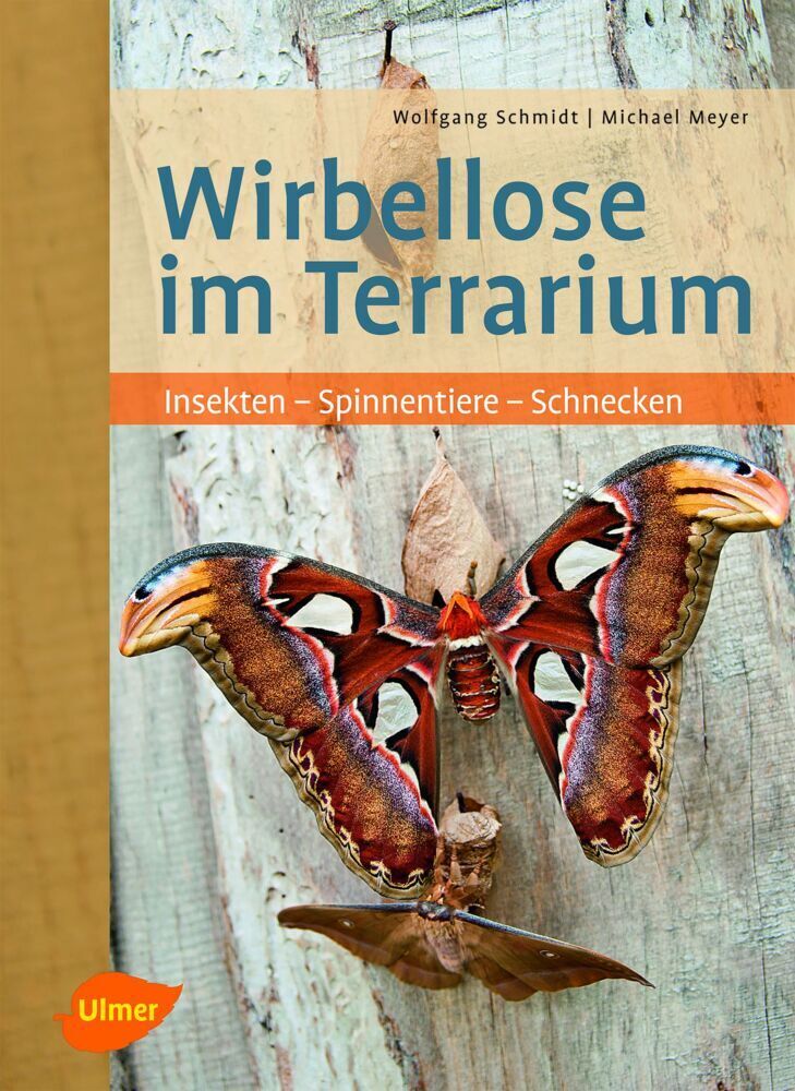 Cover: 9783800156825 | Wirbellose im Terrarium | Insekten - Spinnentiere - Schnecken | Buch