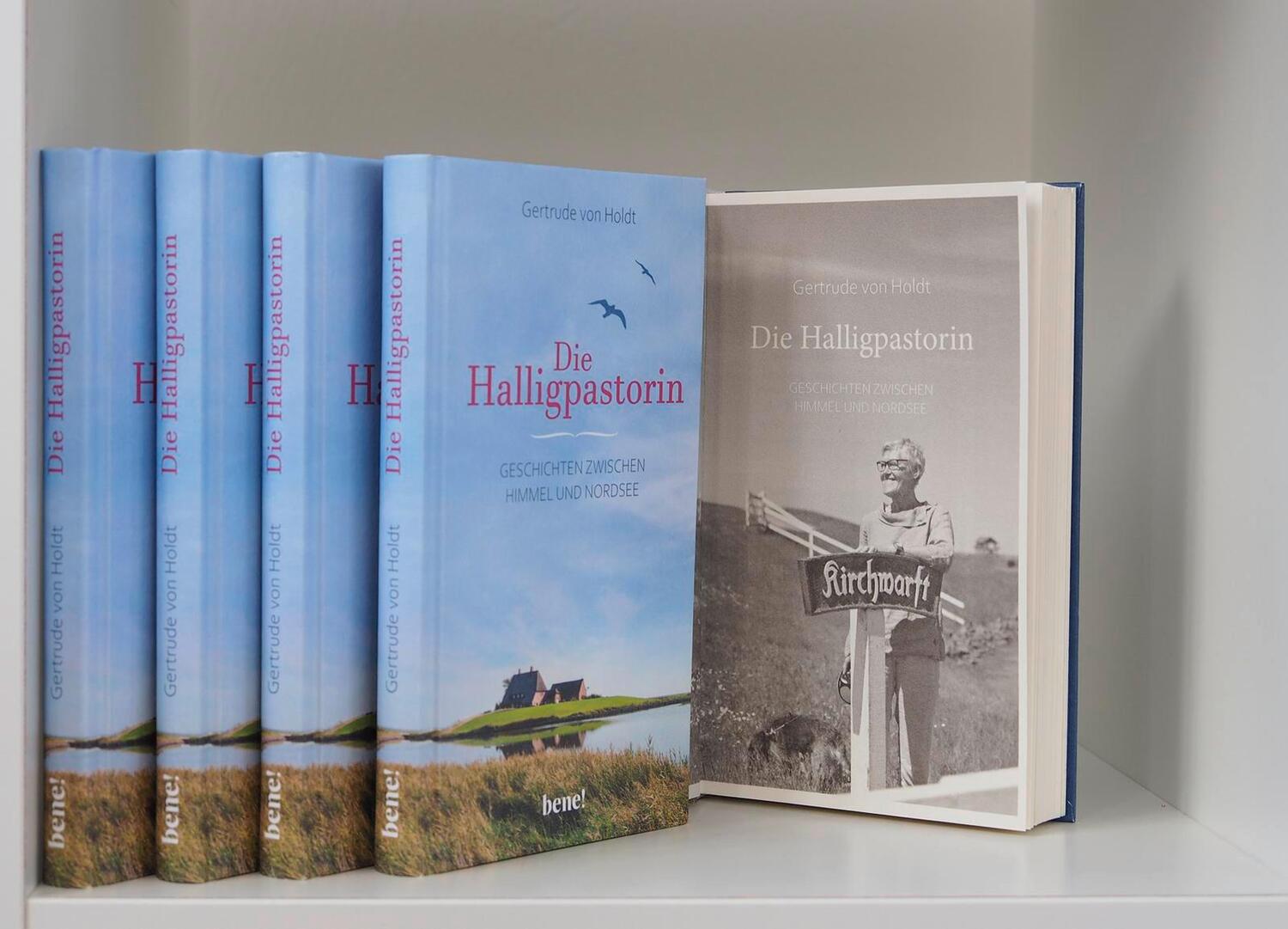 Bild: 9783963401800 | Die Halligpastorin | Geschichten zwischen Himmel und Nordsee | Holdt