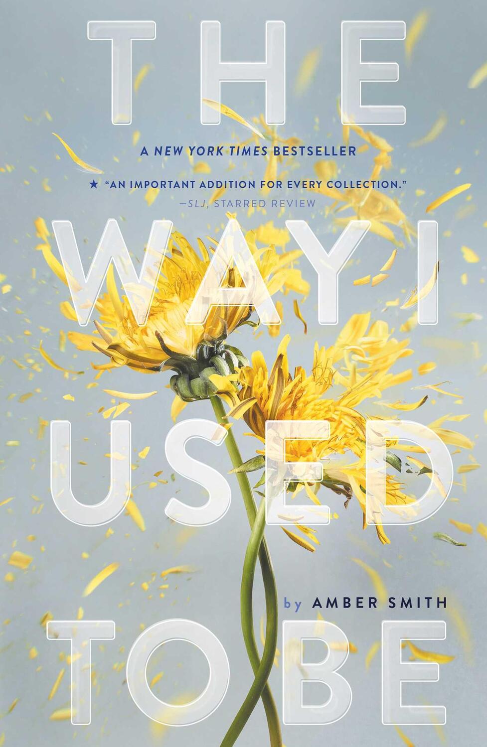 Cover: 9781481449366 | The Way I Used to Be | Amber Smith | Taschenbuch | Englisch | 2017