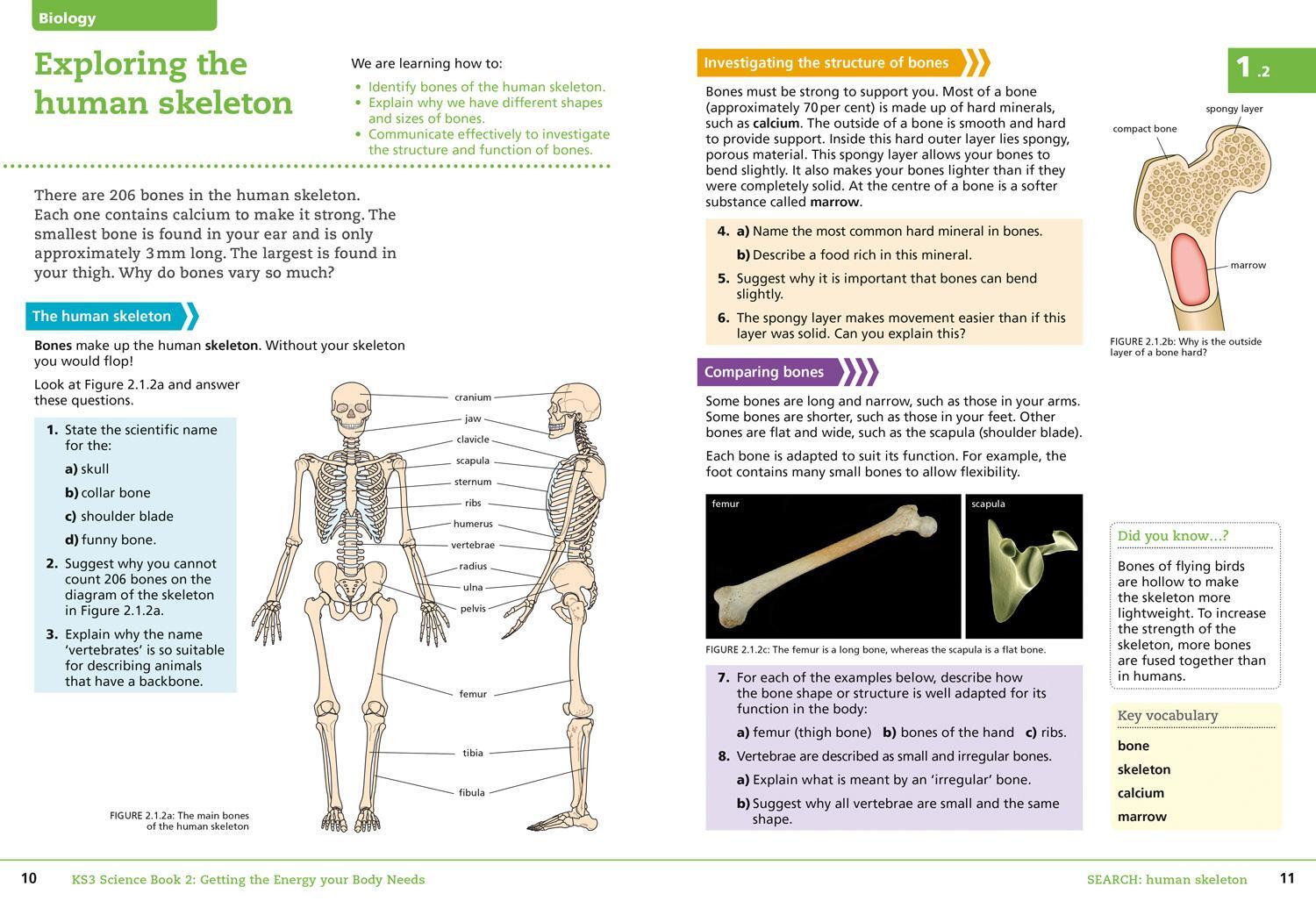 Bild: 9780007540211 | Key Stage 3 Science: Student Book 2 | Sarah Askey (u. a.) | Buch