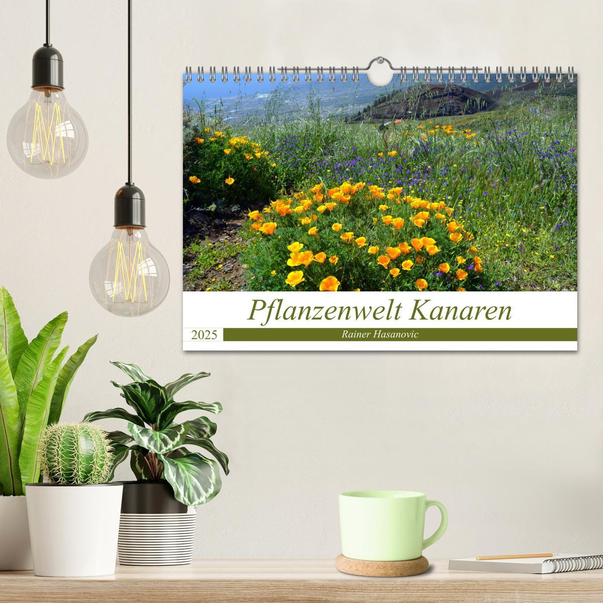 Bild: 9783435430970 | Pflanzenwelt Kanaren (Wandkalender 2025 DIN A4 quer), CALVENDO...