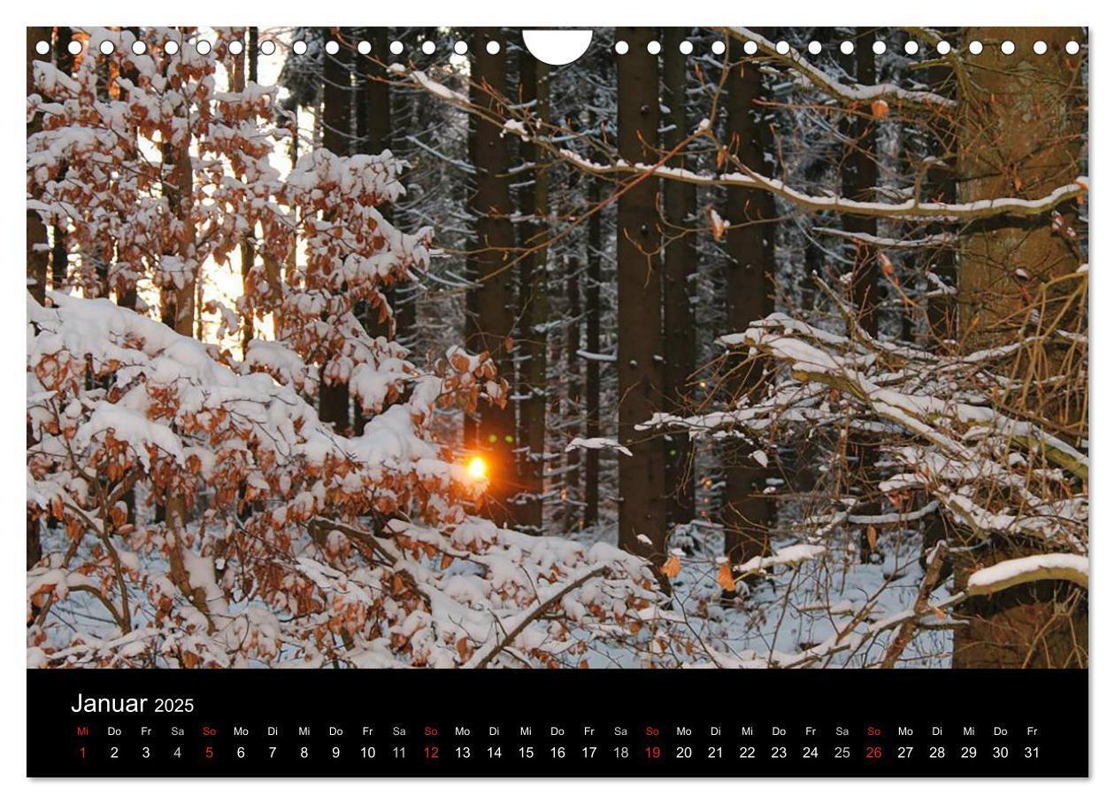 Bild: 9783435642427 | Meine Heimat Westerwald (Wandkalender 2025 DIN A4 quer), CALVENDO...