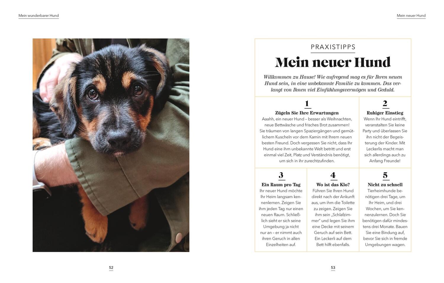 Bild: 9783831041855 | Das denkt dein Hund | Praktische Psychologie für Hundeversteher | Buch