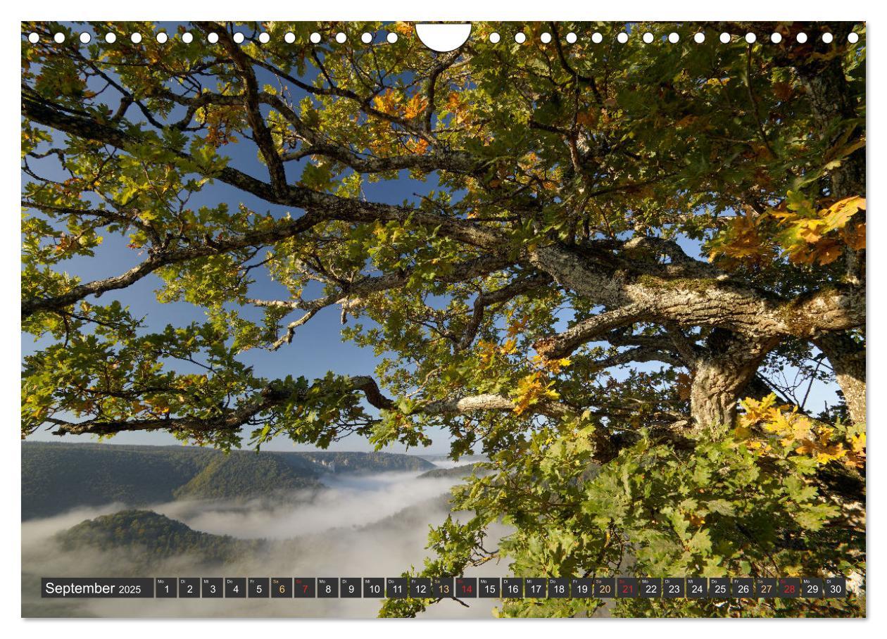 Bild: 9783383860645 | Große Landschaft Obere Donau (Wandkalender 2025 DIN A4 quer),...