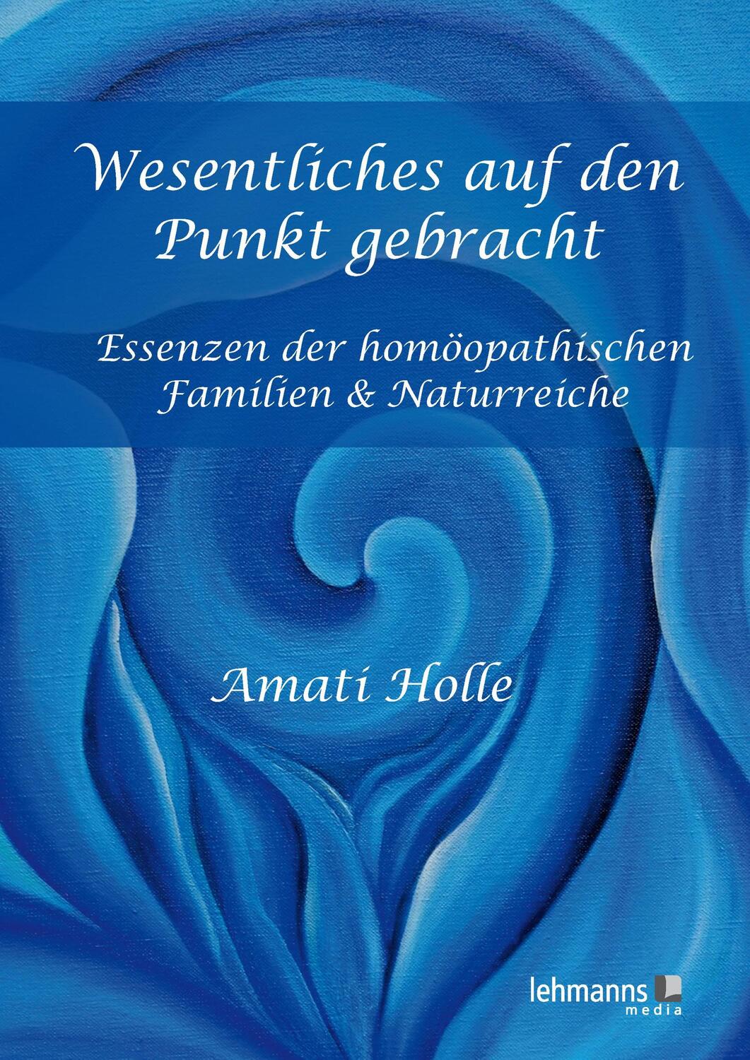 Cover: 9783865418579 | Wesentliches auf den Punkt gebracht | Amati Holle | Buch | Deutsch