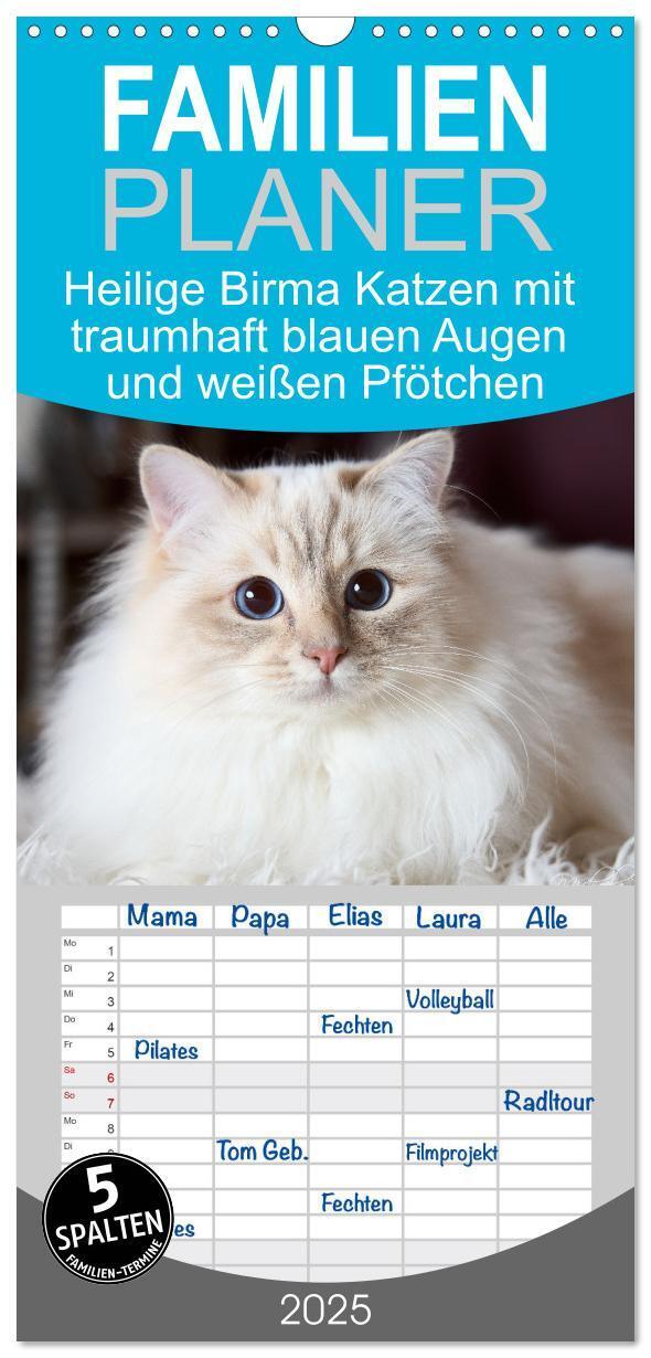 Cover: 9783457193303 | Familienplaner 2025 - Heilige Birma Katzen mit traumhaft blauen...