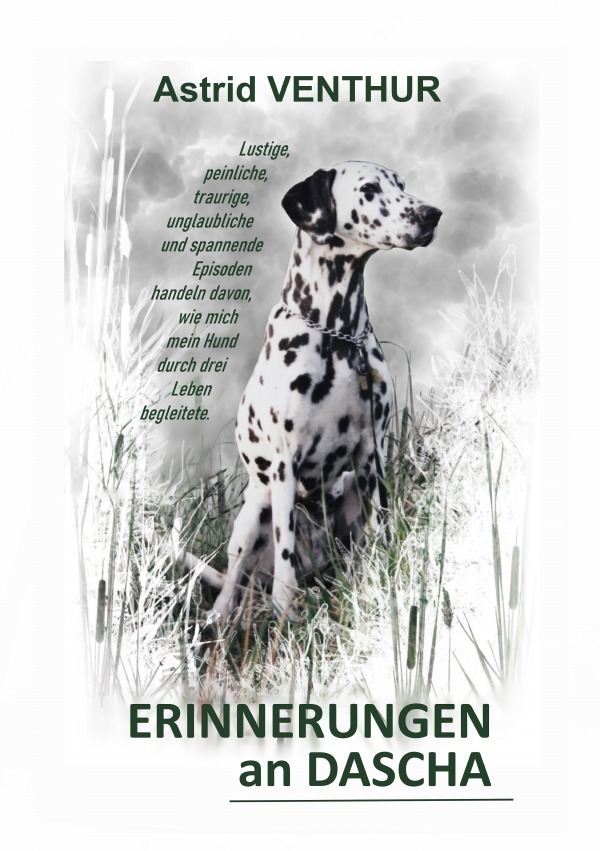 Cover: 9783758428821 | Erinnerungen an Dascha | DE | Astrid Venthur | Taschenbuch | 288 S.