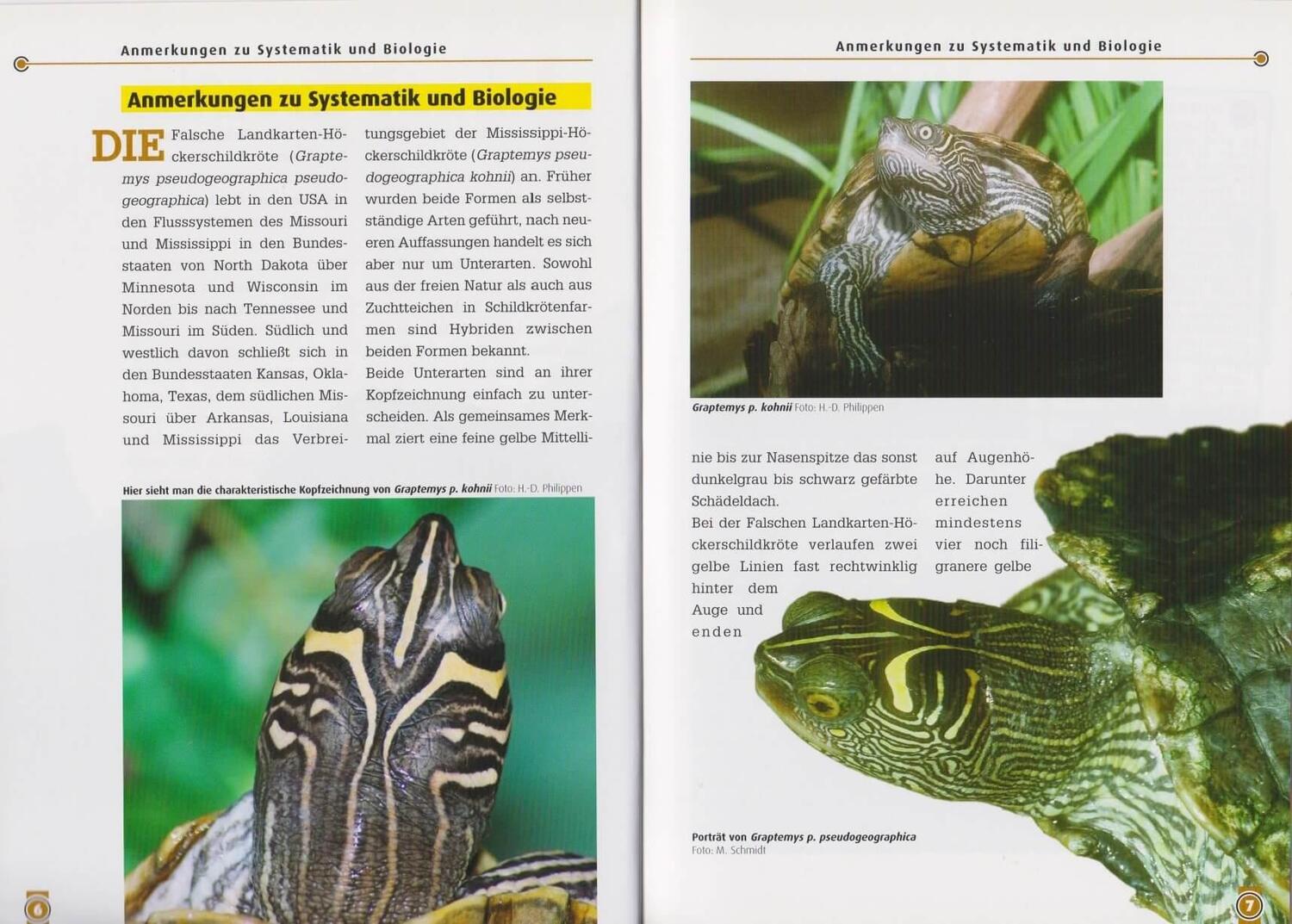 Bild: 9783937285887 | Falsche Landkarten-u.Missisippi-Höckerschildkröte | Elmar Meier | Buch