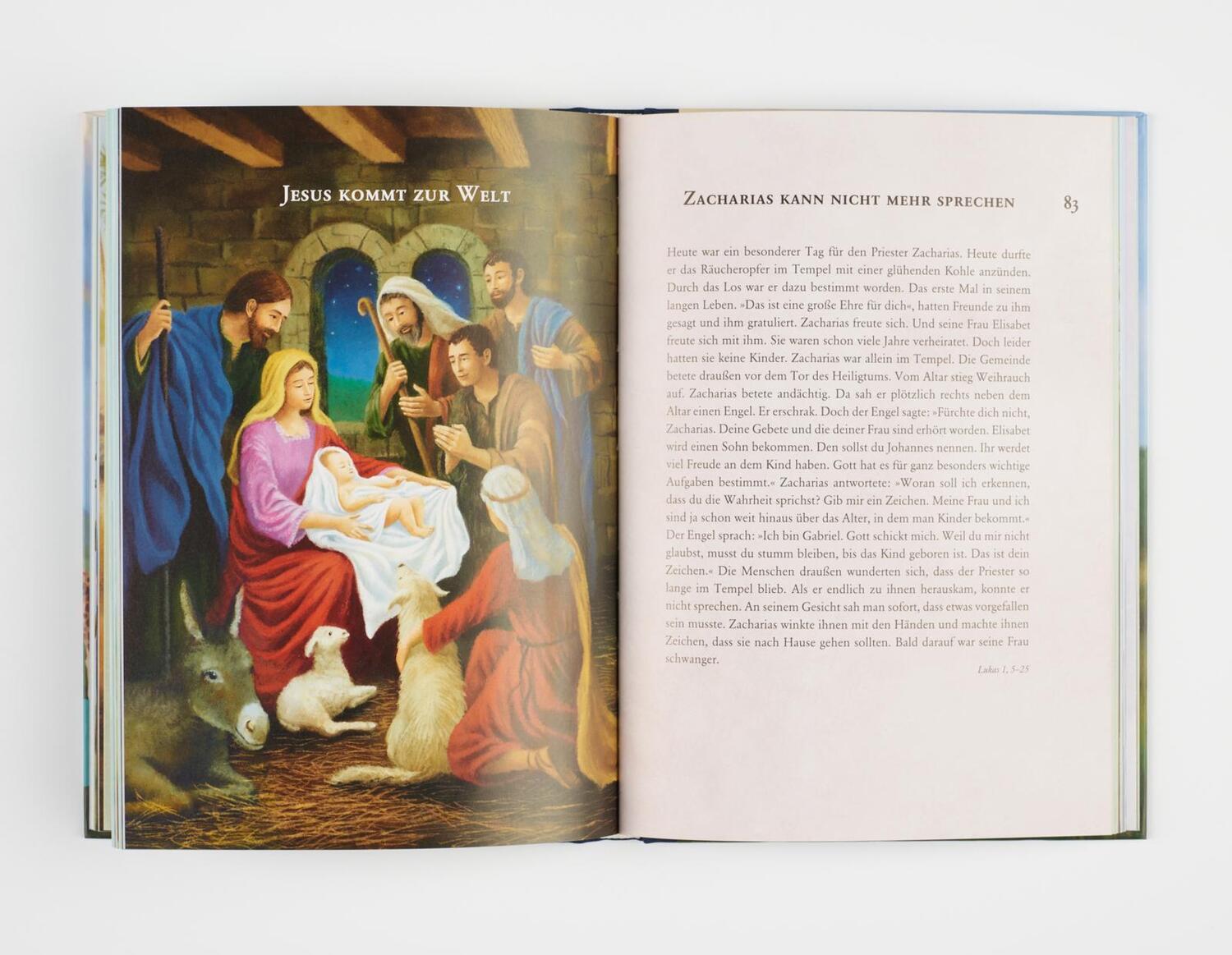 Bild: 9783522305464 | Meine Bibel zur Erstkommunion | Martin Polster | Buch | 152 S. | 2020