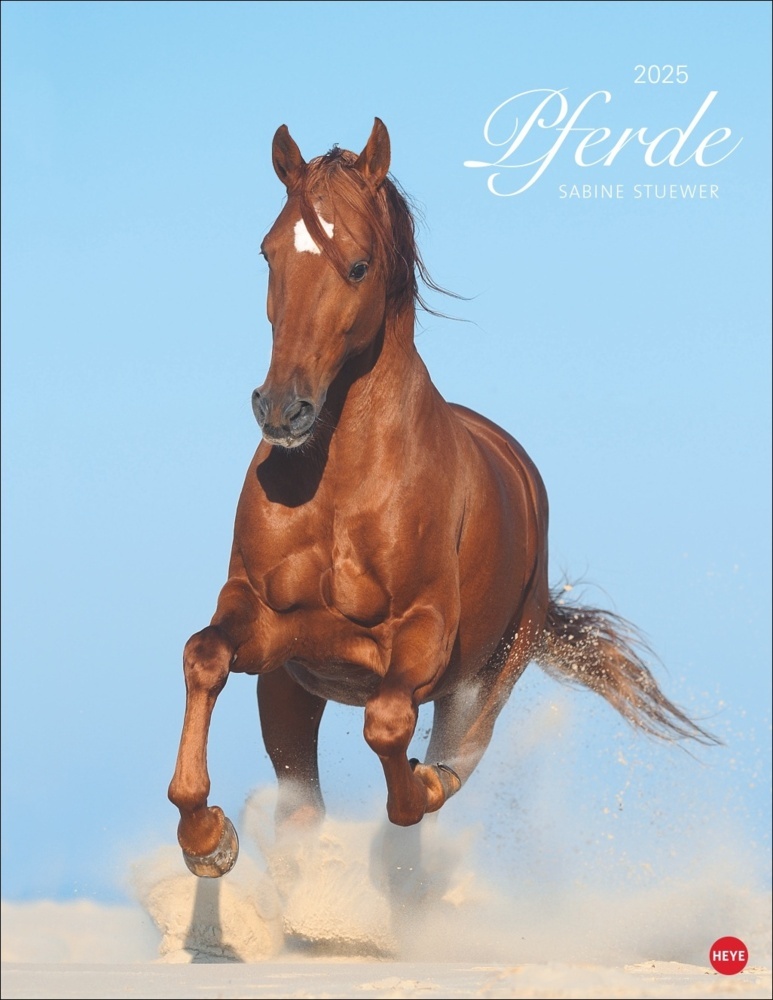 Cover: 9783756405299 | Pferde Classics Posterkalender 2025 | Sabine Stuewer | Kalender | 2025