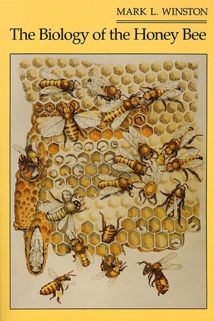 Cover: 9780674074095 | The Biology of the Honey Bee | Mark L. Winston (u. a.) | Taschenbuch
