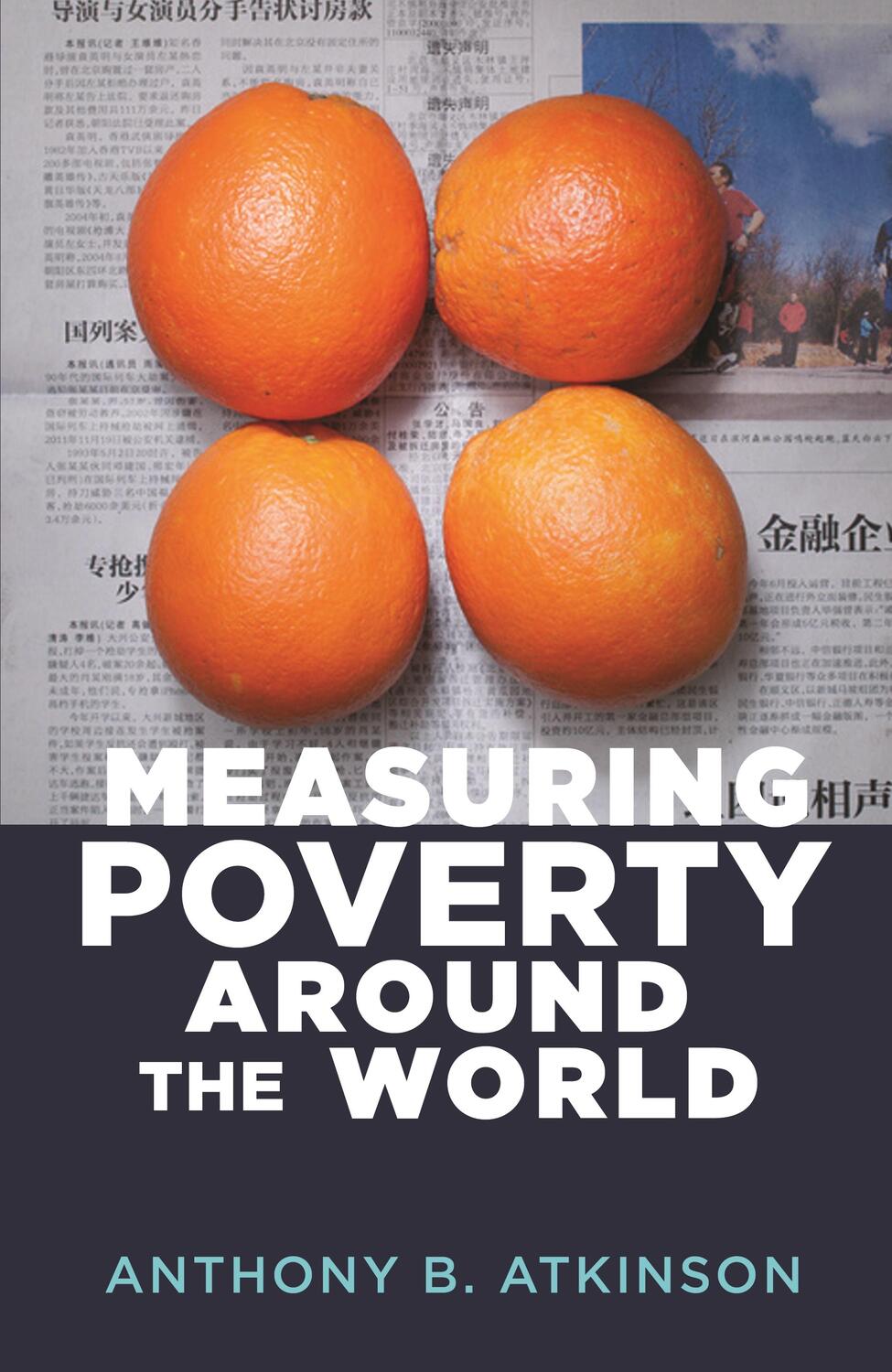 Cover: 9780691191225 | Measuring Poverty around the World | Anthony B. Atkinson | Buch | 2019