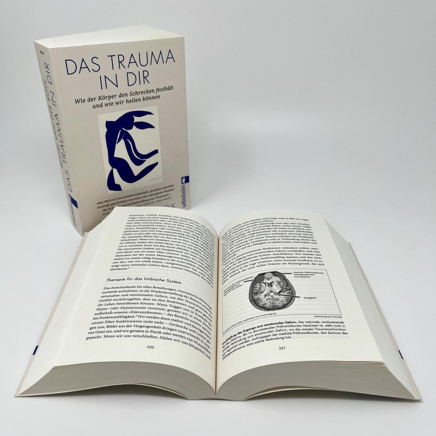 Bild: 9783548067490 | Das Trauma in dir | Bessel van der Kolk | Taschenbuch | 656 S. | 2023