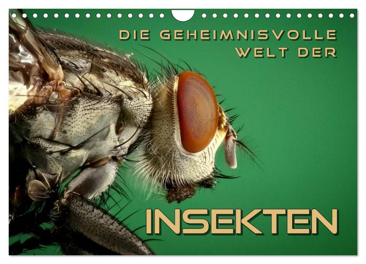 Cover: 9783383275708 | Die geheimnisvolle Welt der Insekten (Wandkalender 2024 DIN A4...