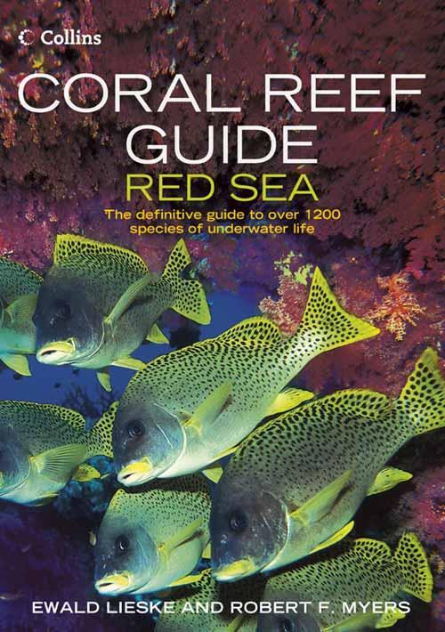 Cover: 9780007159864 | Coral Reef Guide Red Sea | Red Sea to Gulf of Aden, South Oman | Buch