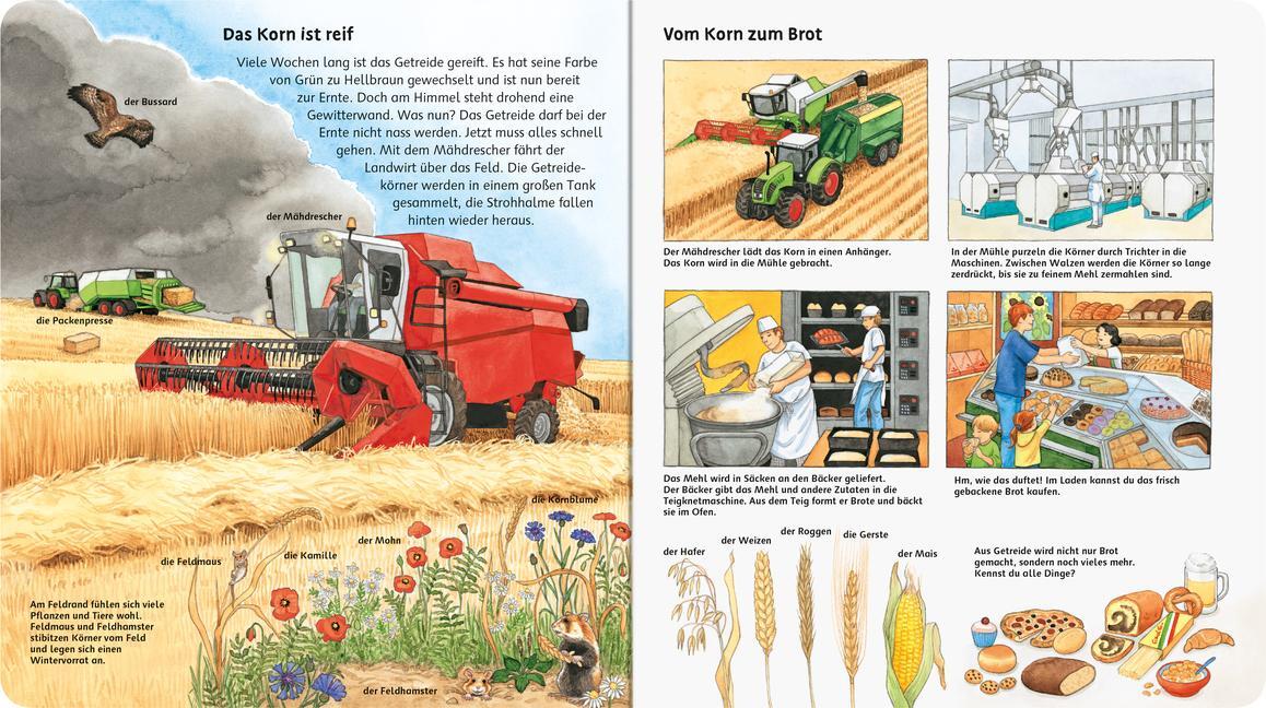 Bild: 9783473418589 | Mein großes Bilderlexikon: Auf dem Bauernhof | Daniela Prusse | Buch