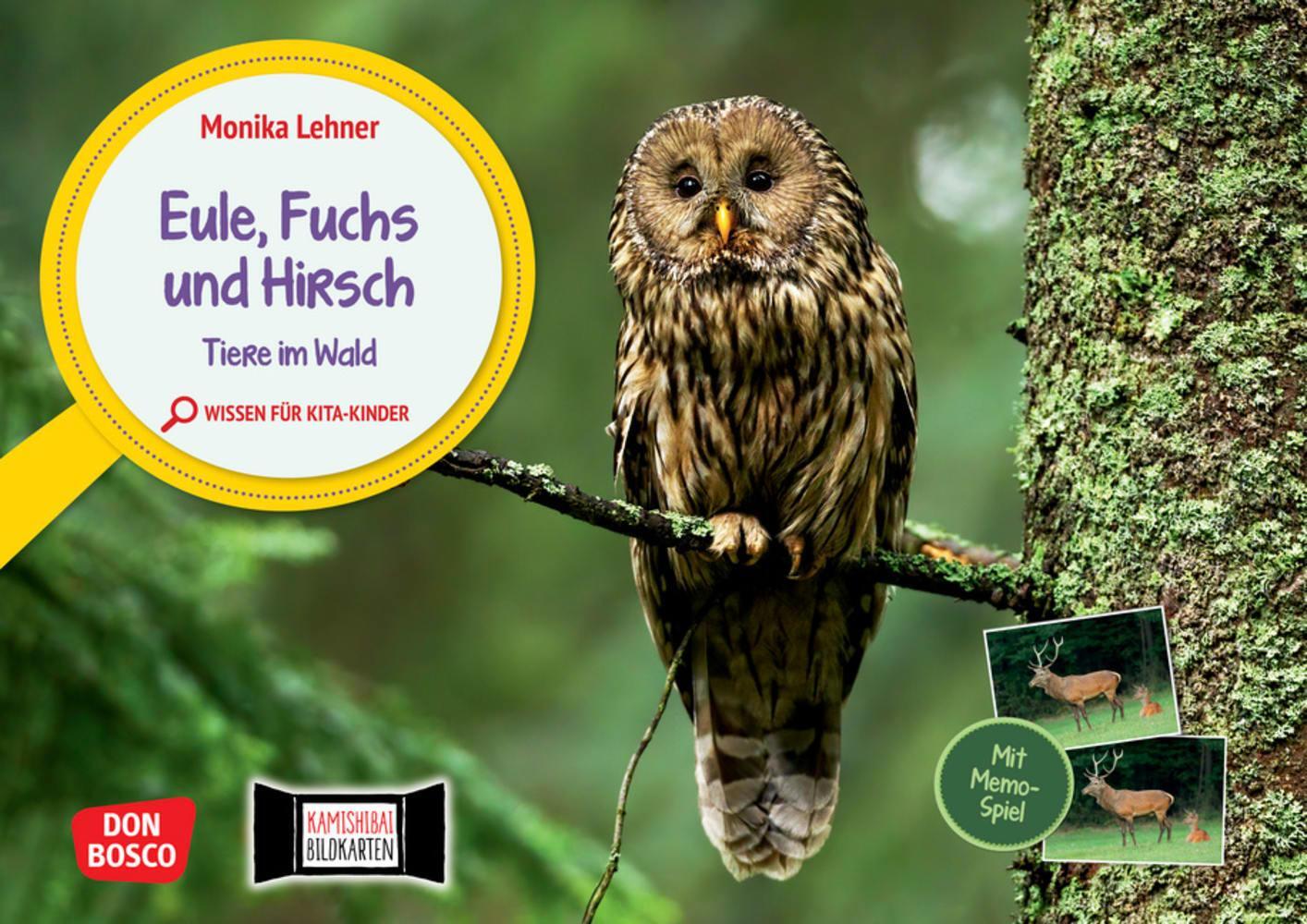 Cover: 4260694920480 | Eule, Fuchs und Hirsch. Tiere im Wald | Monika Lehner | Box | Deutsch