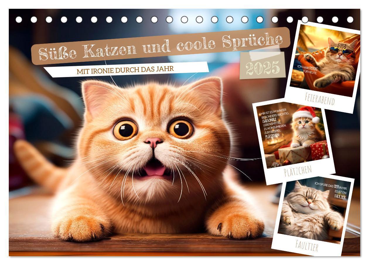 Cover: 9783383773518 | Süße Katzen und coole Sprüche (Tischkalender 2025 DIN A5 quer),...