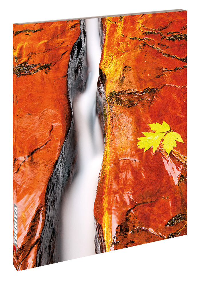 Cover: 9783955703127 | Zen Nature | Blankbook | Tushita-Verlag | Buch | 144 S. | Deutsch