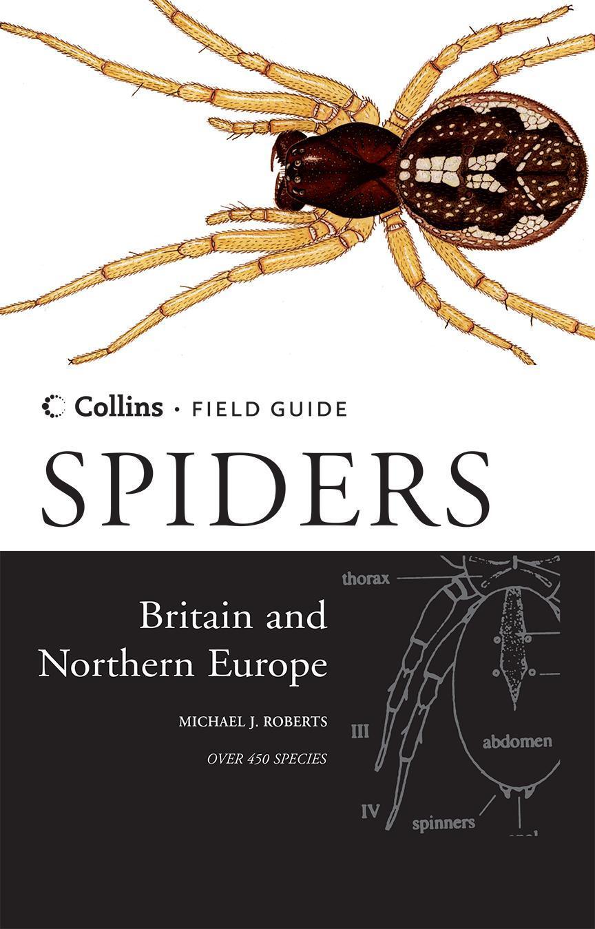 Cover: 9780002199810 | Spiders of Britain and Northern Europe | Michael J. Roberts | Buch