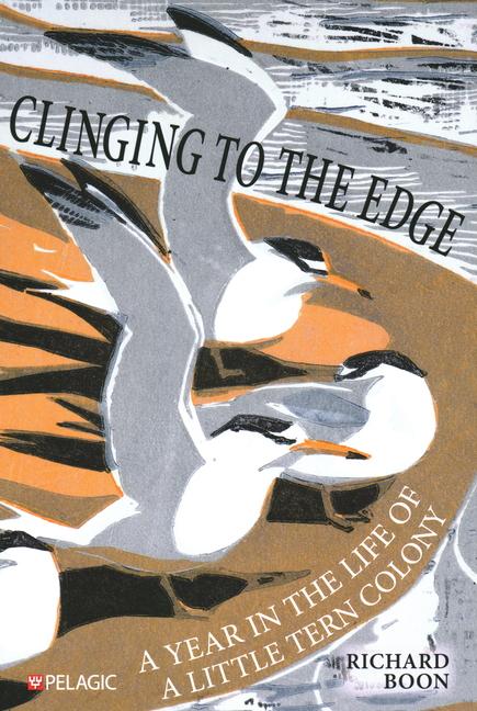 Cover: 9781784274894 | Clinging to the Edge | A Year in the Life of a Little Tern Colony