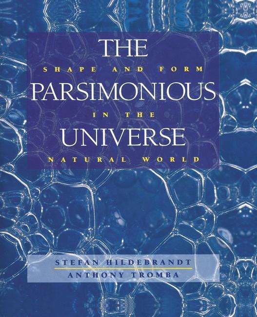Cover: 9781461275329 | The Parsimonious Universe | Shape and Form in the Natural World | Buch