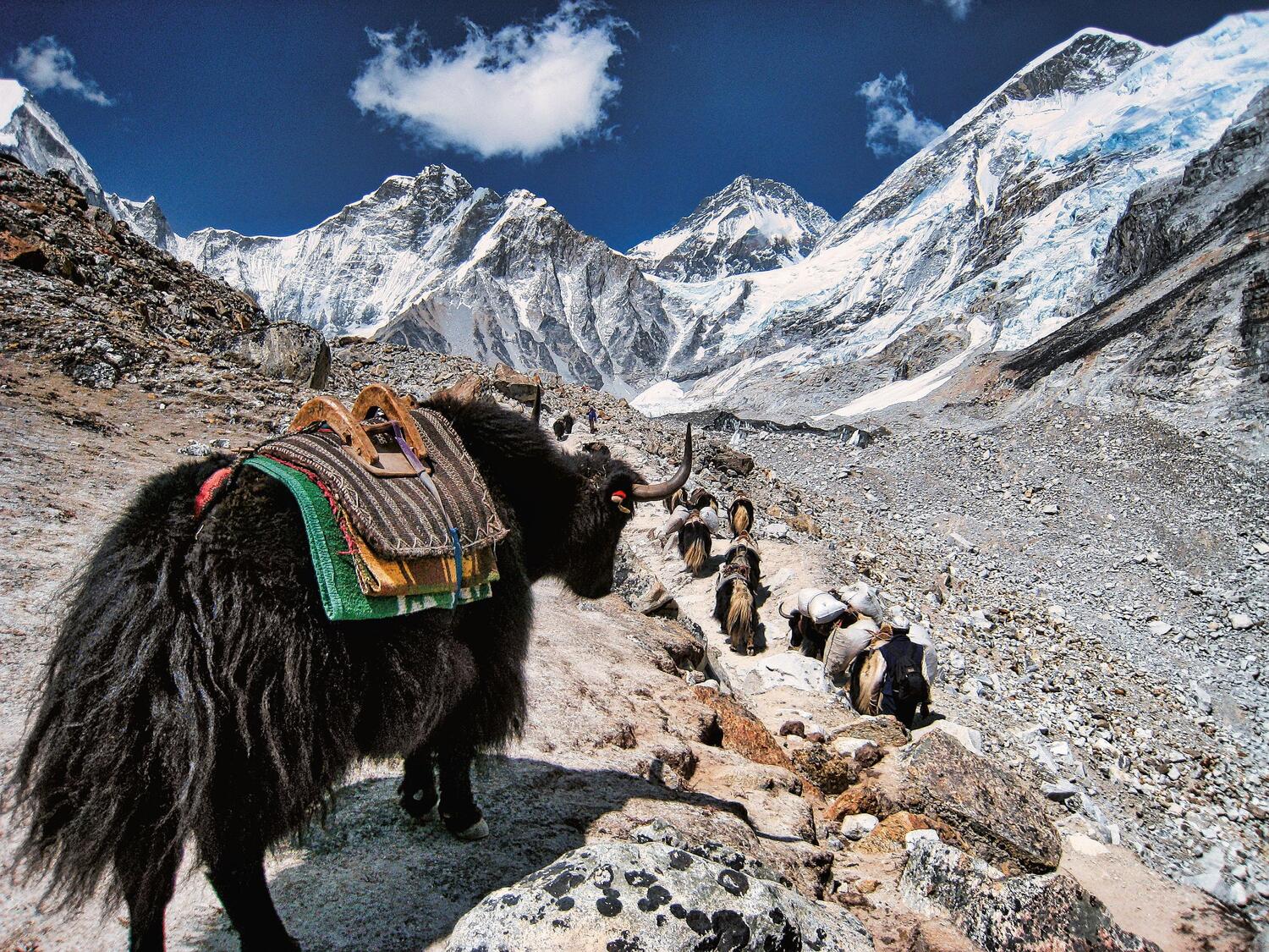Bild: 9783957281371 | The Great Himalaya Trail | Peter Hinze | Buch | 288 S. | Deutsch