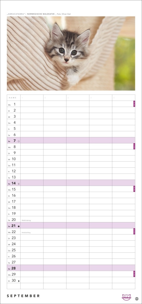 Bild: 9783756405831 | Whiskas Familienplaner 2025 | Kalender | Spiralbindung | 14 S. | 2025