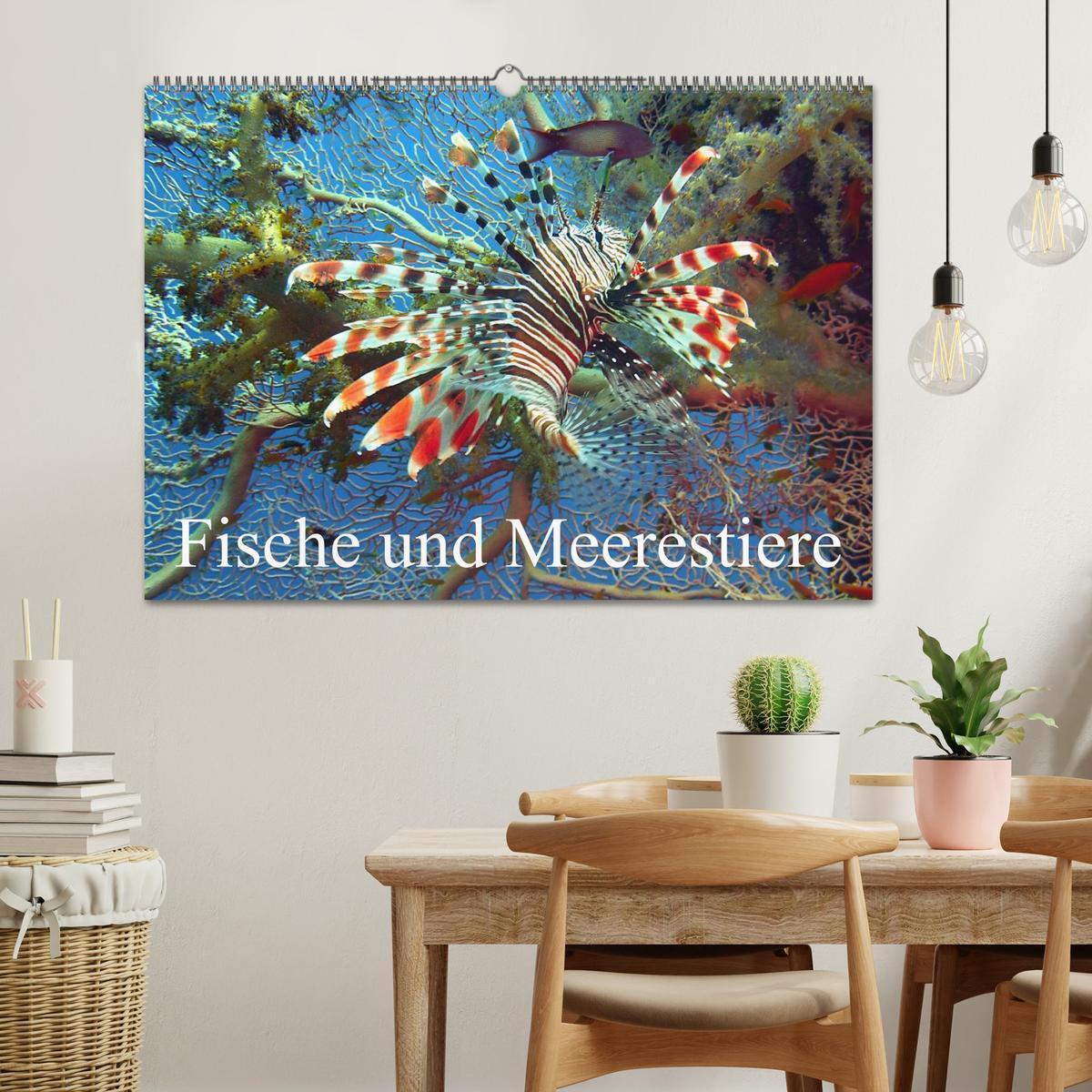 Bild: 9783435717446 | Fische und Meerestiere (Wandkalender 2025 DIN A2 quer), CALVENDO...