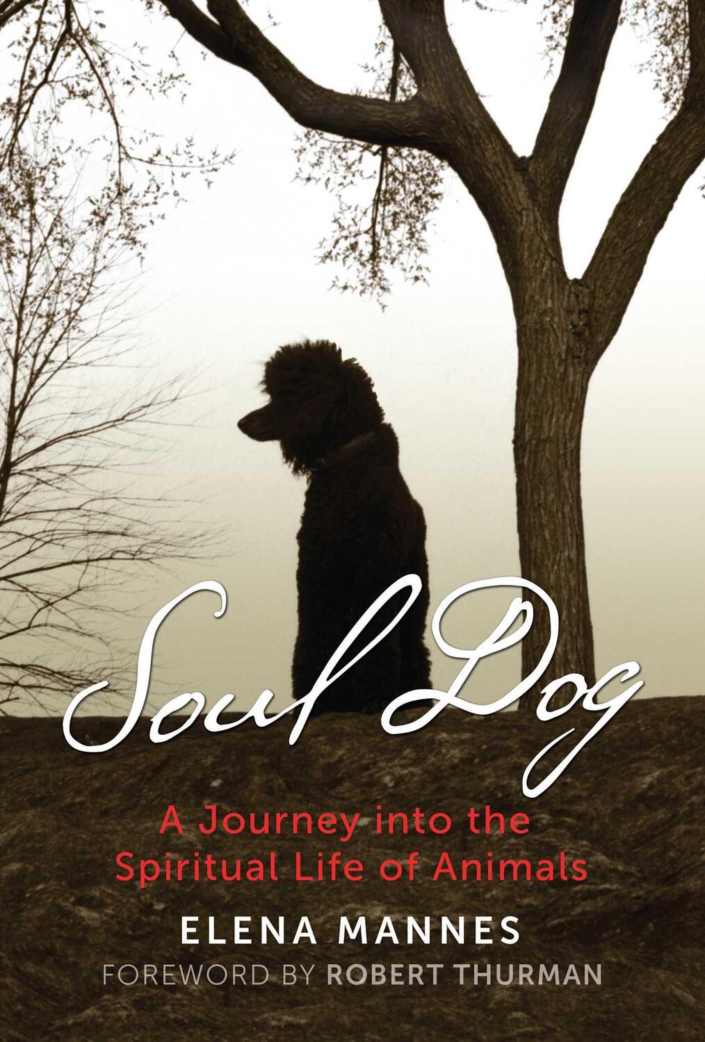 Cover: 9781591433262 | Soul Dog | A Journey Into the Spiritual Life of Animals | Elena Mannes