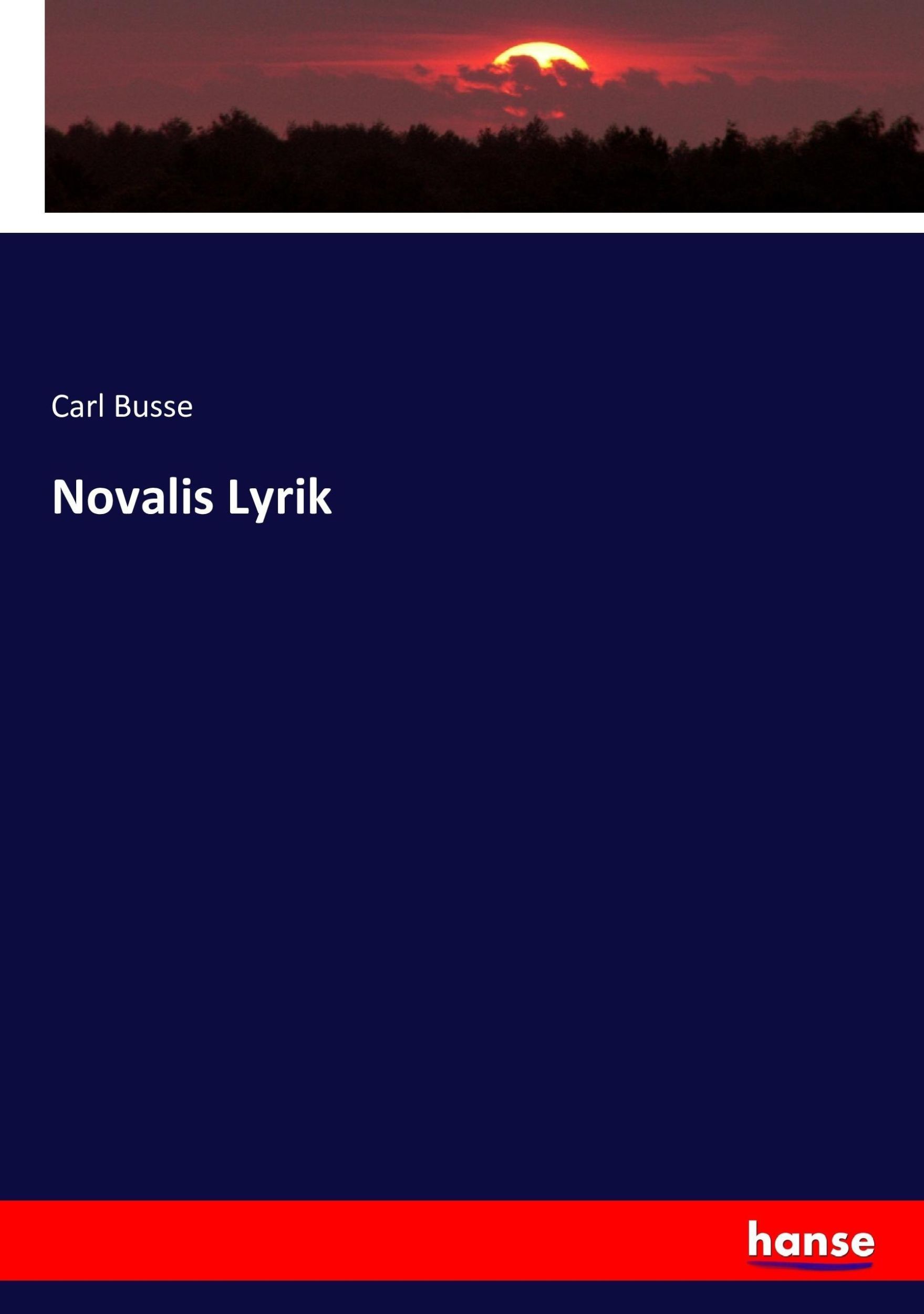 Cover: 9783743378544 | Novalis Lyrik | Carl Busse | Taschenbuch | Paperback | 172 S. | 2016