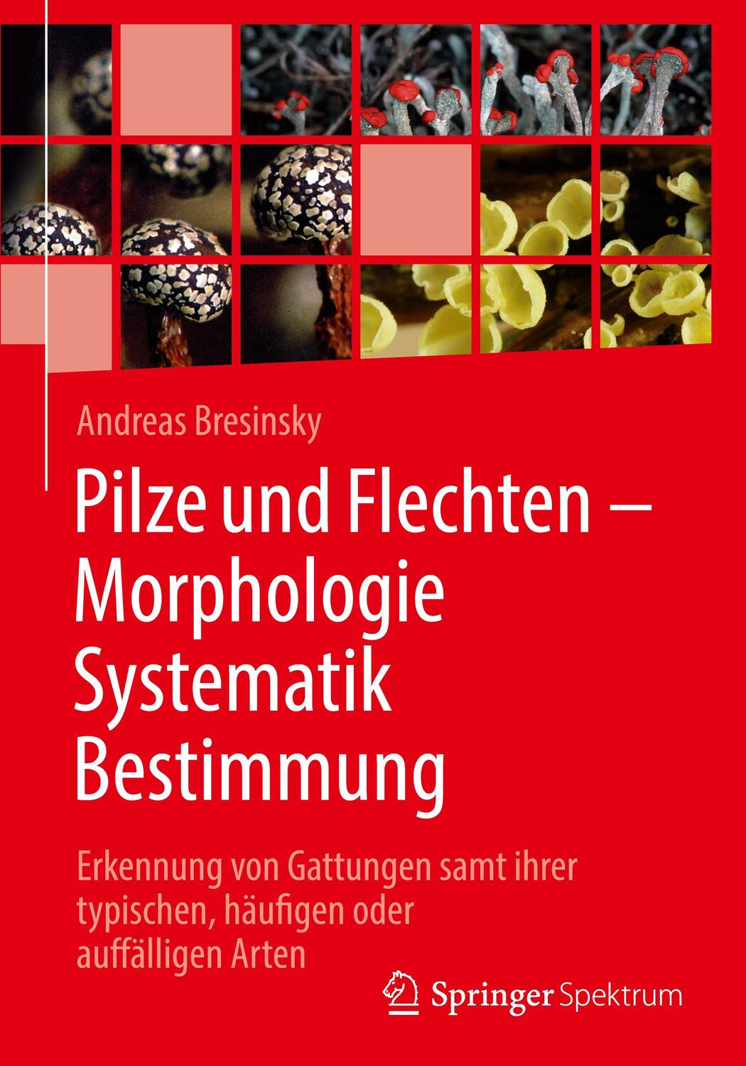 Cover: 9783662631102 | Pilze und Flechten - Morphologie, Systematik, Bestimmung | Bresinsky