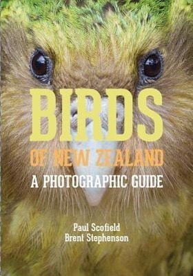 Cover: 9780300196825 | Birds of New Zealand | A Photographic Guide | Brent Stephenson (u. a.)