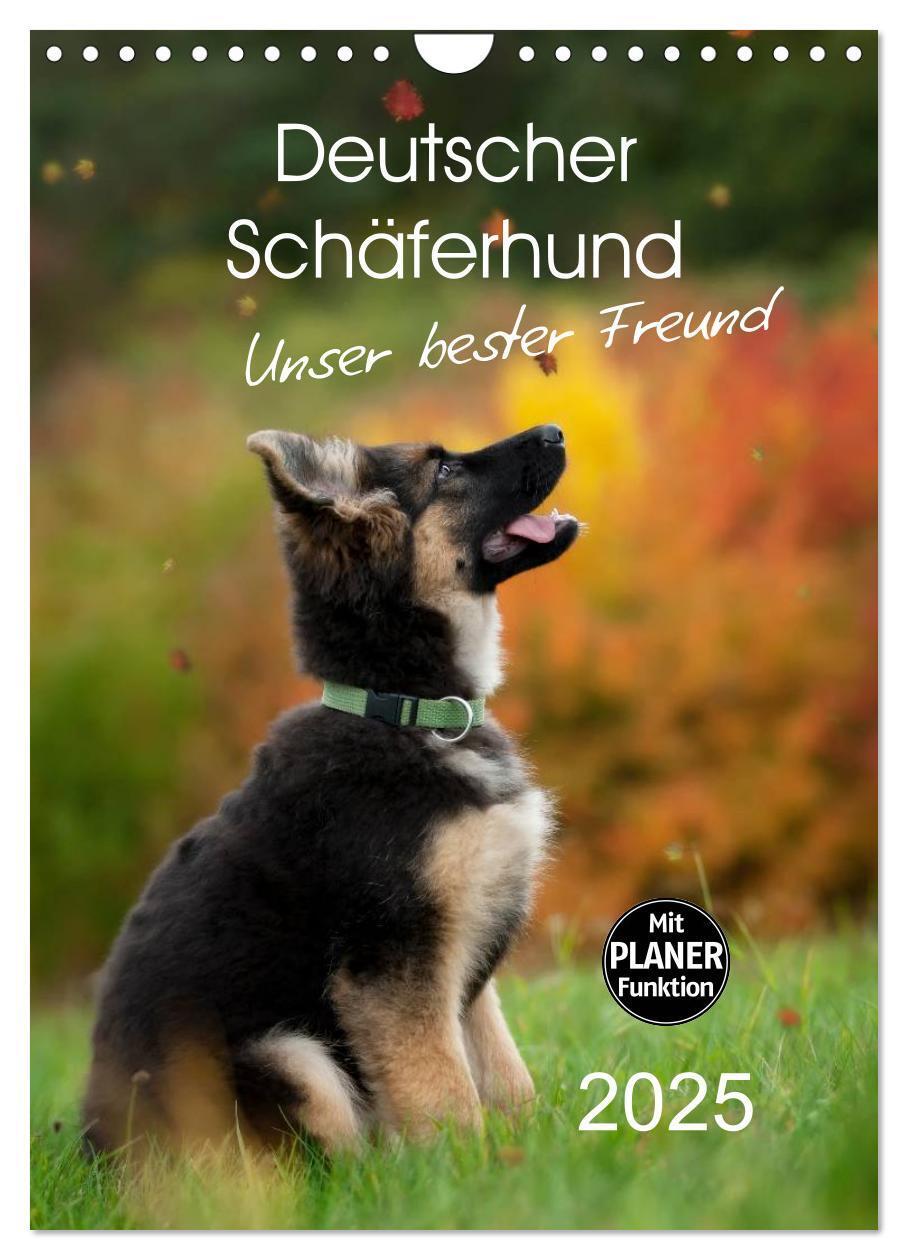 Cover: 9783457008874 | Deutscher Schäferhund - unser bester Freund (Wandkalender 2025 DIN...