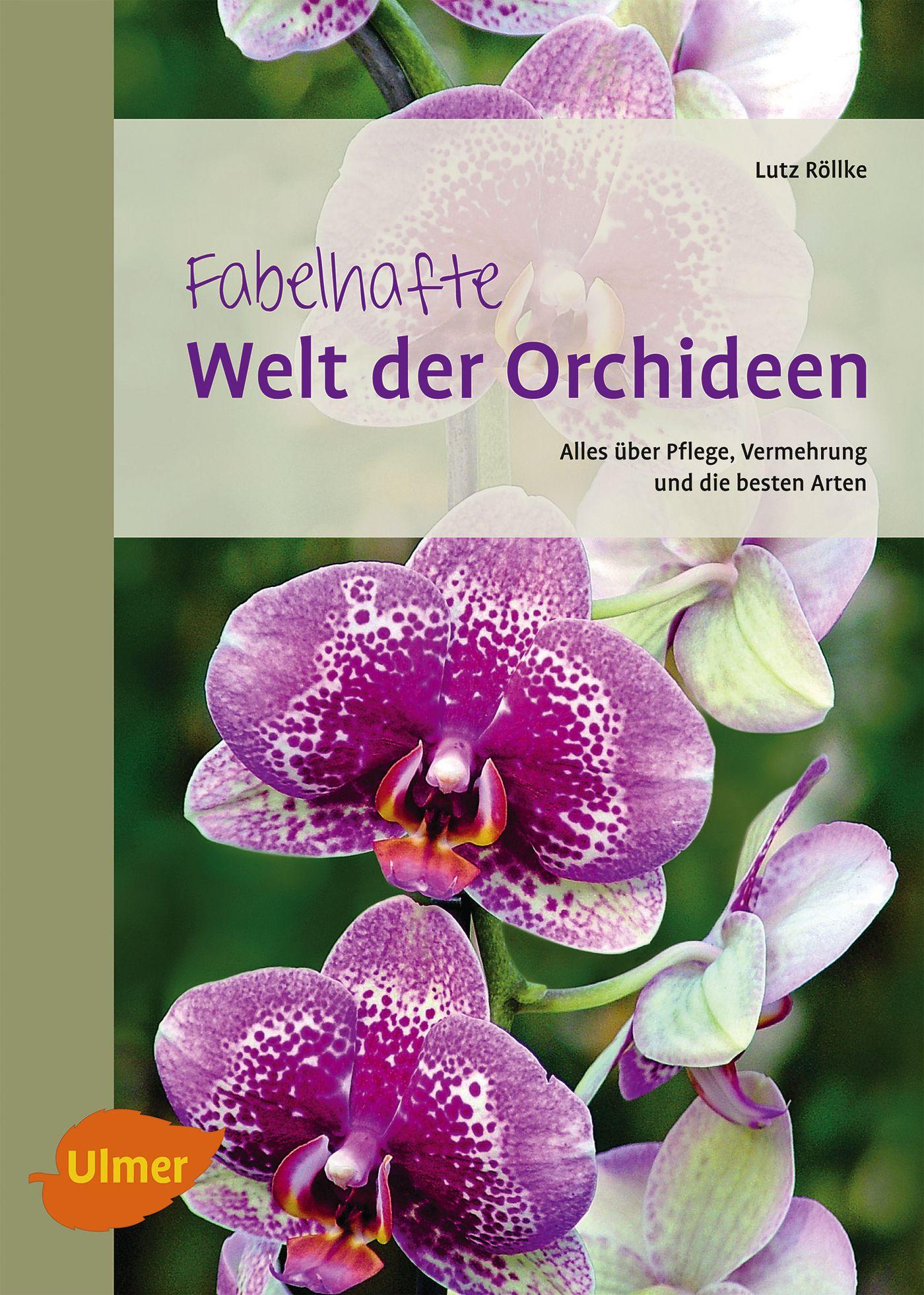 Cover: 9783800177691 | Fabelhafte Welt der Orchideen | Lutz Röllke | Taschenbuch | 256 S.