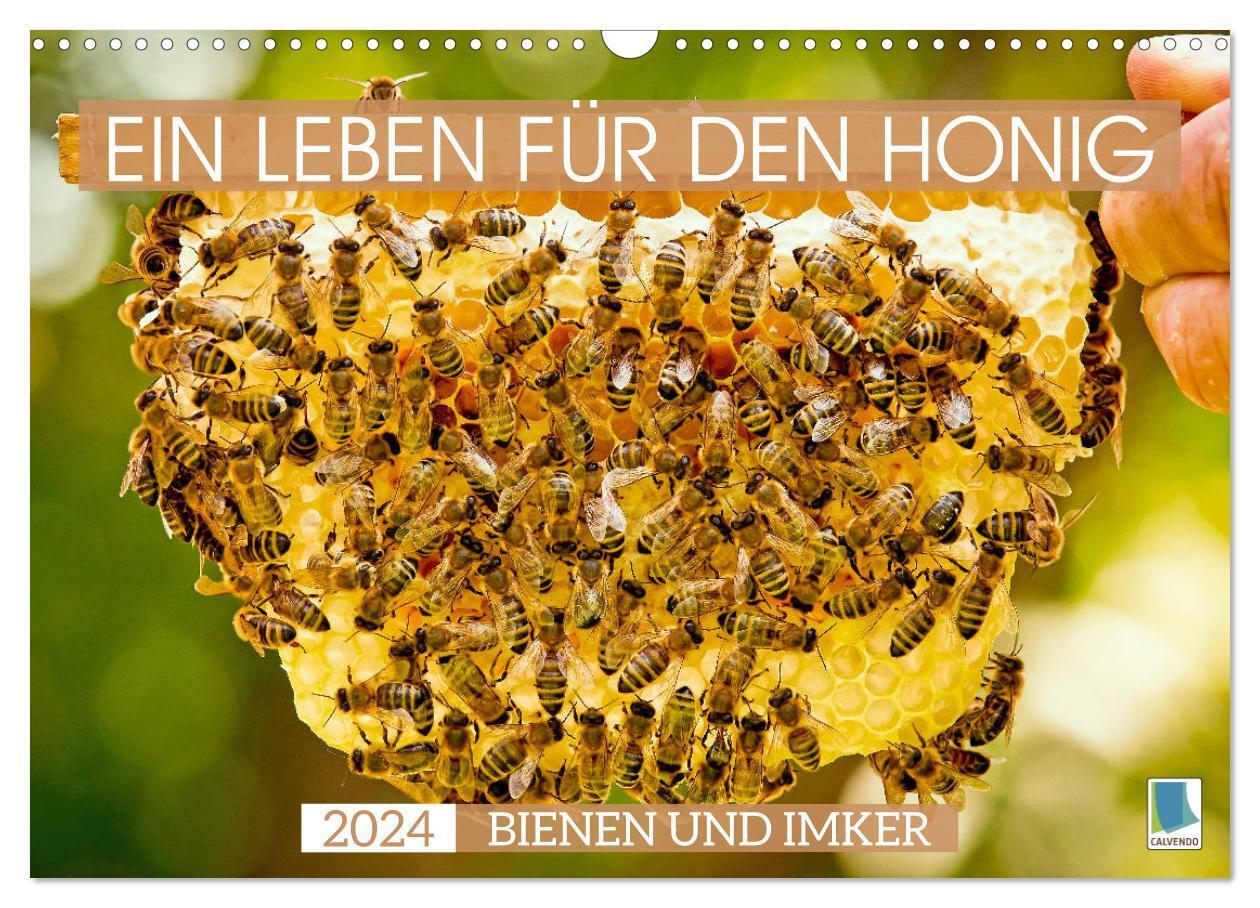 Cover: 9783675516465 | Ein Leben für den Honig - Bienen und Imker (Wandkalender 2024 DIN...