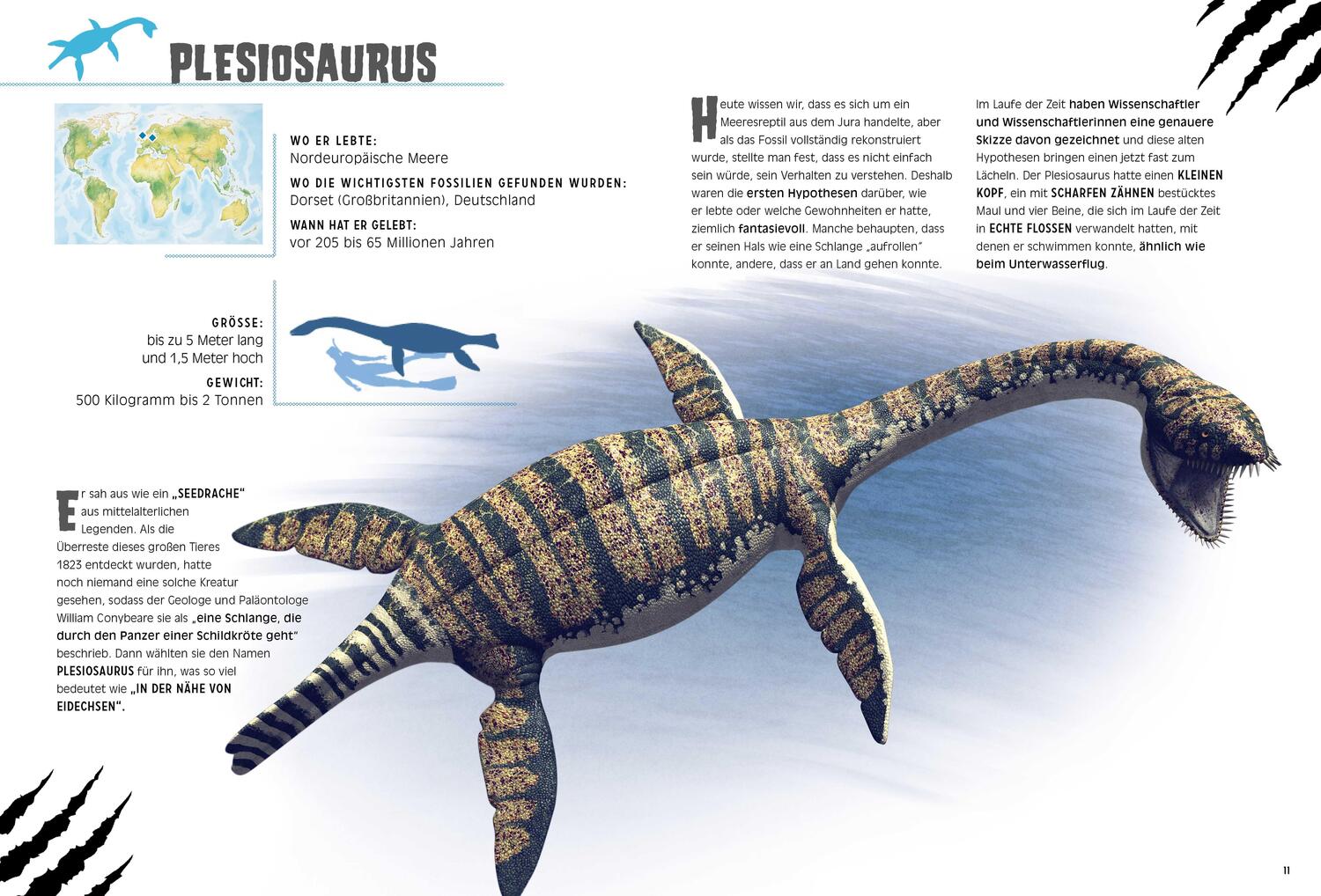 Bild: 9788863125993 | Wasserreptilien des Dinosaurierzeitalters | Giuseppe Brillante | Buch