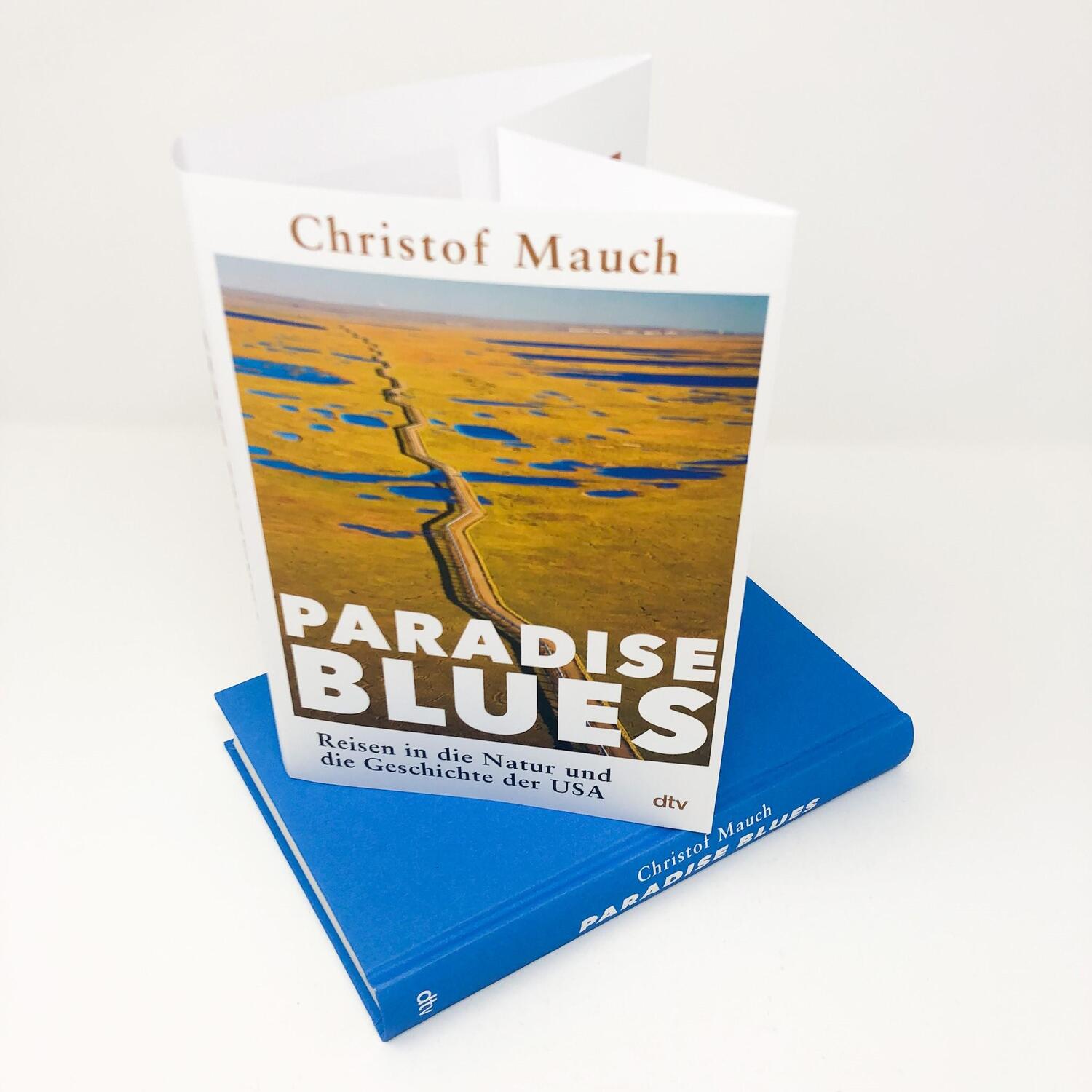 Bild: 9783423290036 | Paradise Blues | Christof Mauch | Buch | 368 S. | Deutsch | 2022