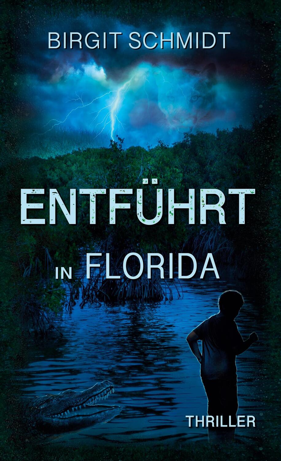Cover: 9783752873092 | Entführt in Florida | Birgit Schmidt | Buch | Die Anna-Behringer-Reihe