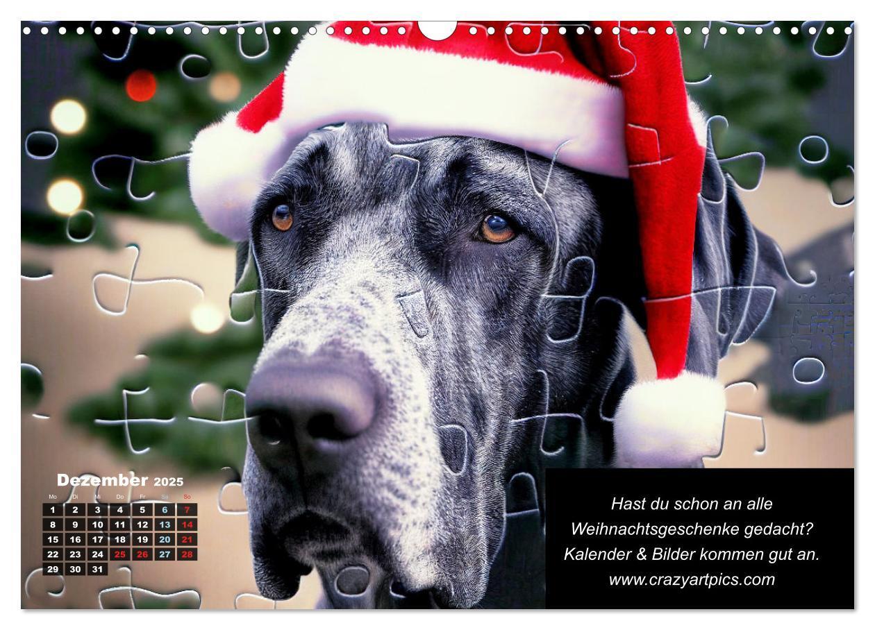 Bild: 9783435722631 | Der humoristische Dogge Kalender (Wandkalender 2025 DIN A3 quer),...