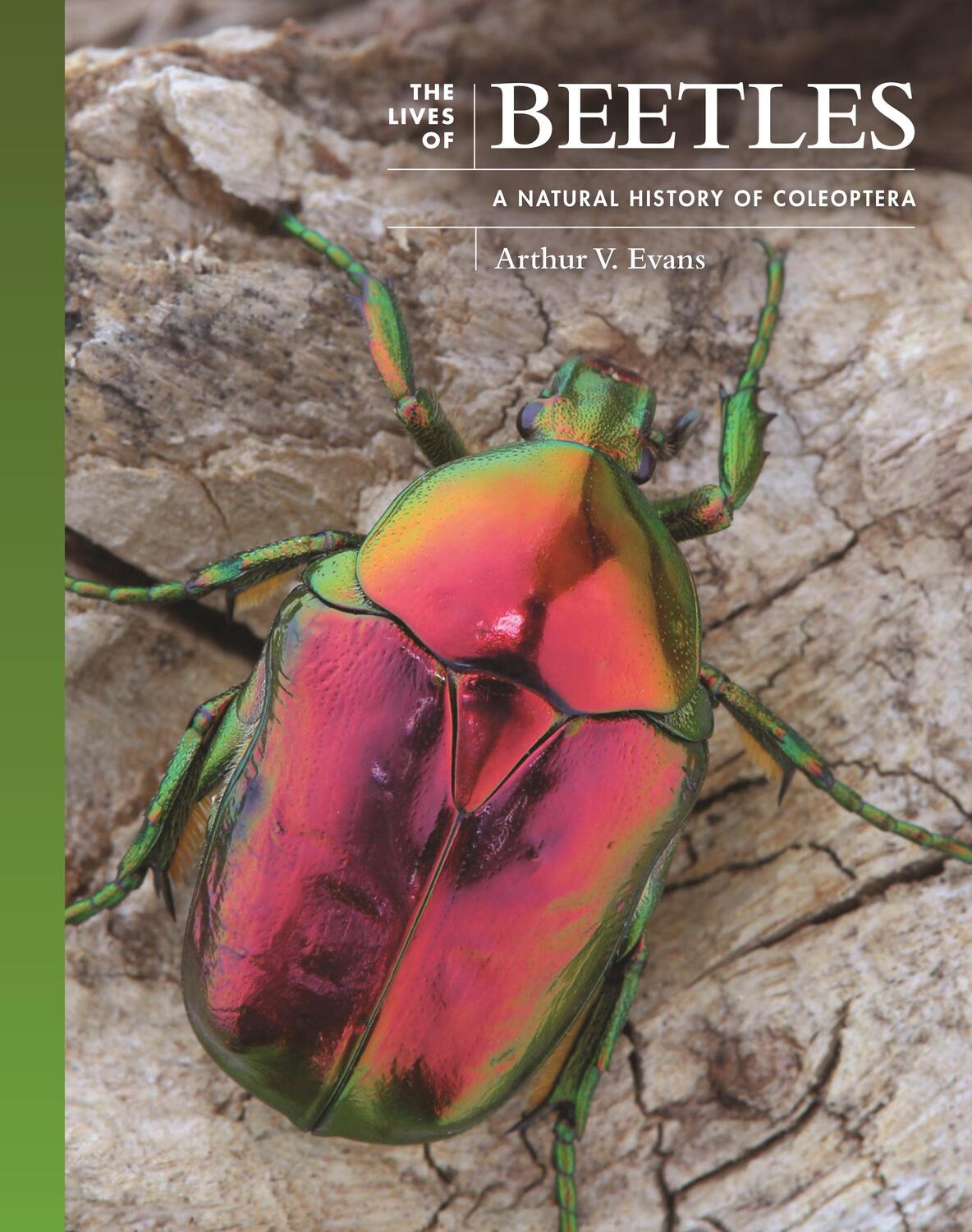 Cover: 9780691236513 | The Lives of Beetles | A Natural History of Coleoptera | Evans | Buch