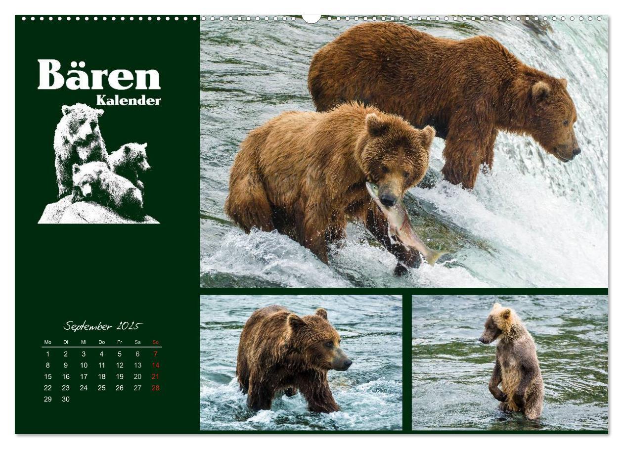 Bild: 9783435709519 | Bärenkalender (Wandkalender 2025 DIN A2 quer), CALVENDO Monatskalender