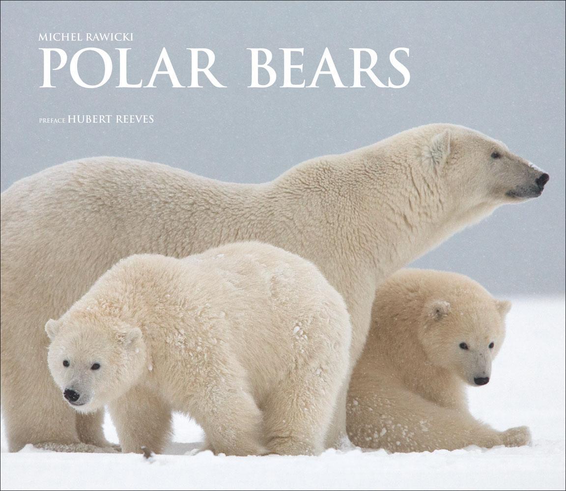 Cover: 9781788840422 | Polar Bears | A Life Under Threat | Michel Rawicki | Buch | Gebunden