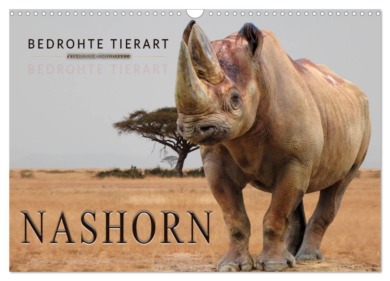 Cover: 9783435370788 | Bedrohte Tierart - Nashorn (Wandkalender 2025 DIN A3 quer),...