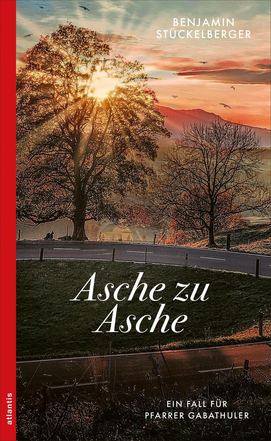 Cover: 9783715255088 | Asche zu Asche | Benjamin Stückelberger | Taschenbuch | 256 S. | 2023