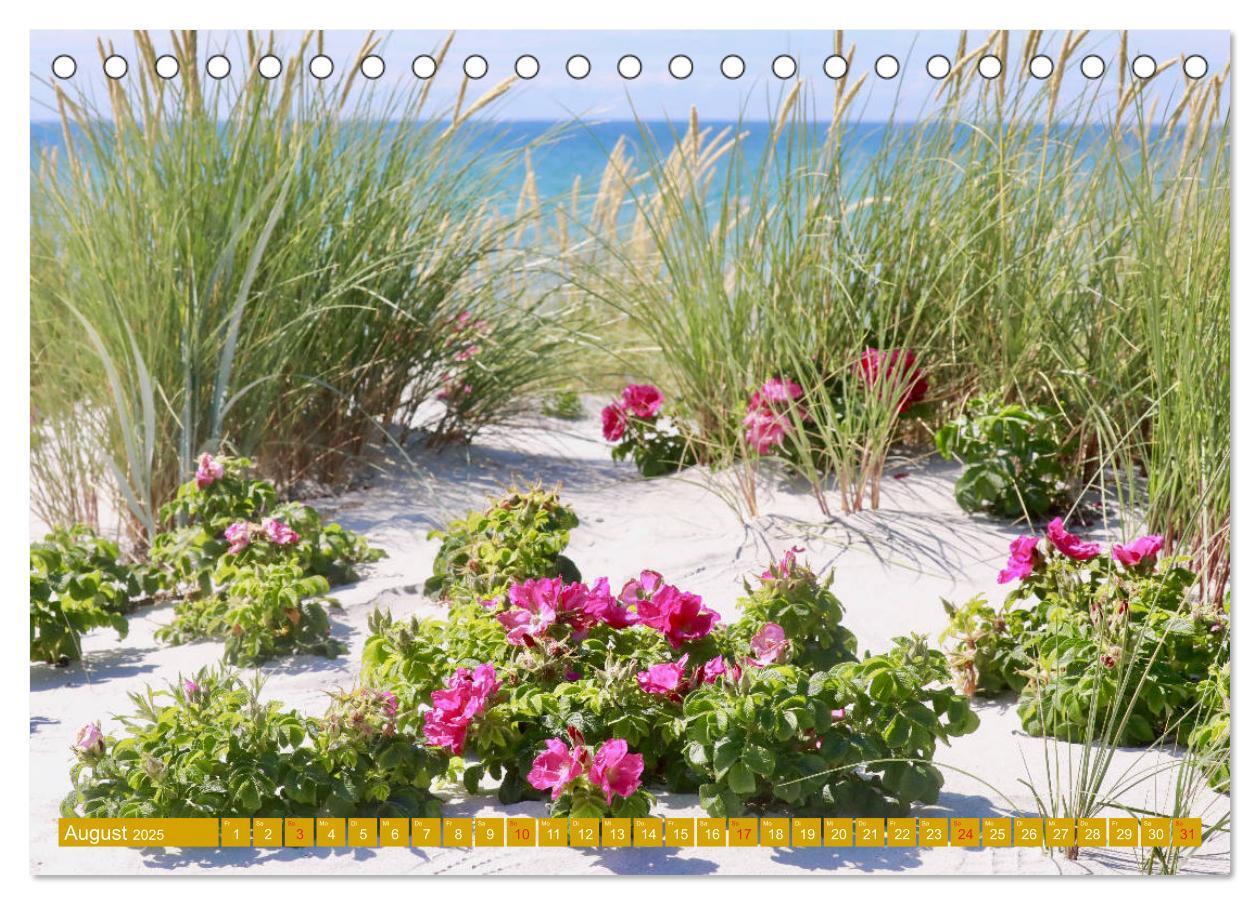 Bild: 9783435264544 | Insel Hiddensee - Stimmungen und Sehnsüchte (Tischkalender 2025 DIN...