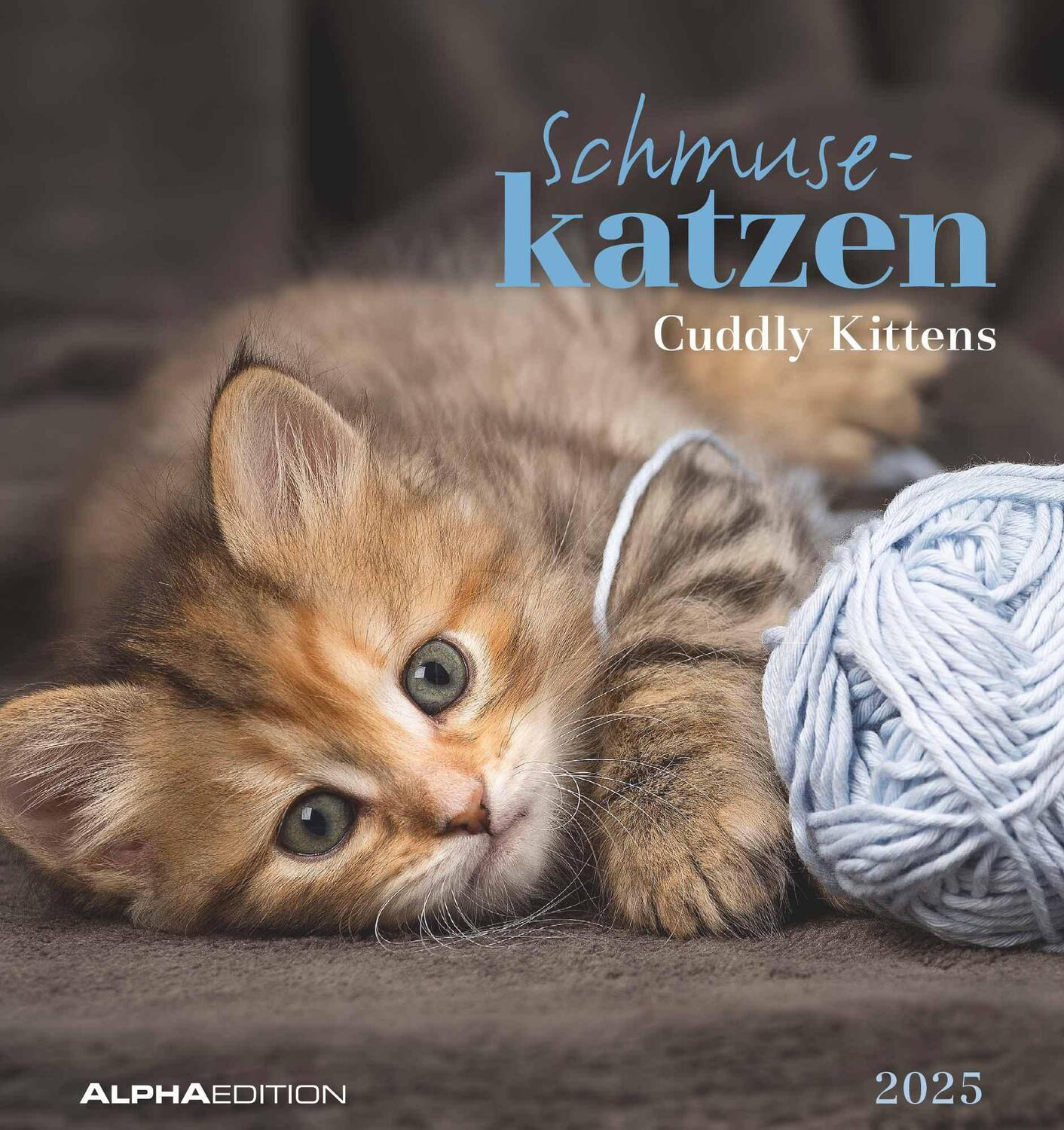 Cover: 4251732342296 | Schmusekatzen 2025 - Postkartenkalender 16x17 cm - Katzen - zum...