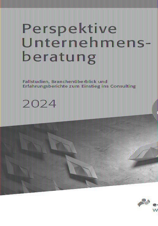 Cover: 9783946706939 | Perspektive Unternehmensberatung 2024 | Michael Hies | Buch | 308 S.